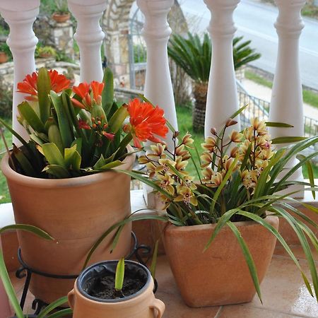 Amaryllis House Apartment Парга Екстериор снимка