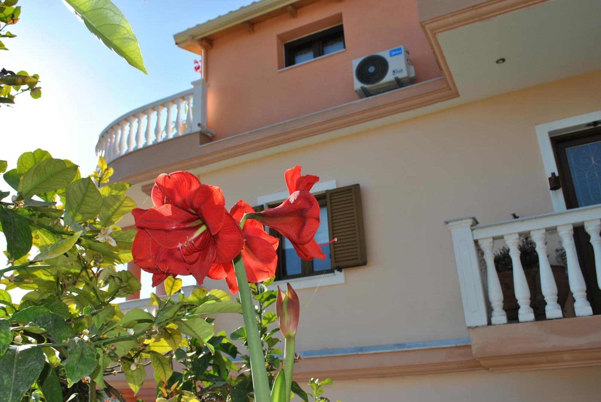 Amaryllis House Apartment Парга Екстериор снимка
